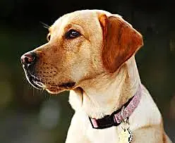 API Testing Demo image 3